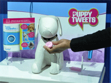 Фото новости