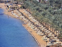 Фото новости