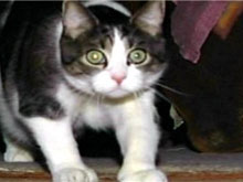 Фото новости