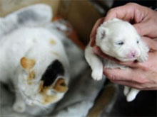 Фото новости